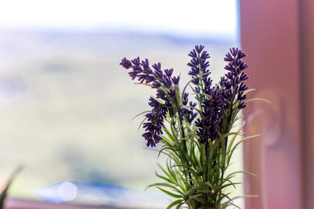 Apartman Aqua-Juric Crikvenica Luaran gambar